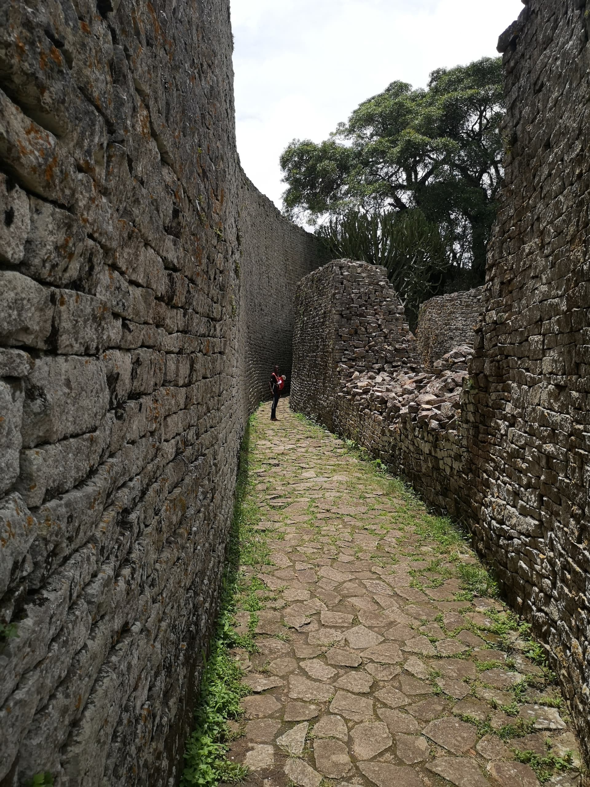 Wildlife conservation